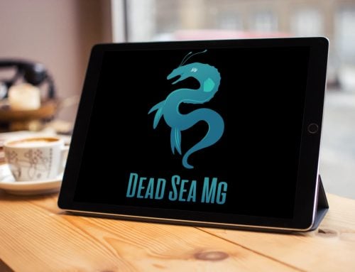 Dead Sea MG Logo